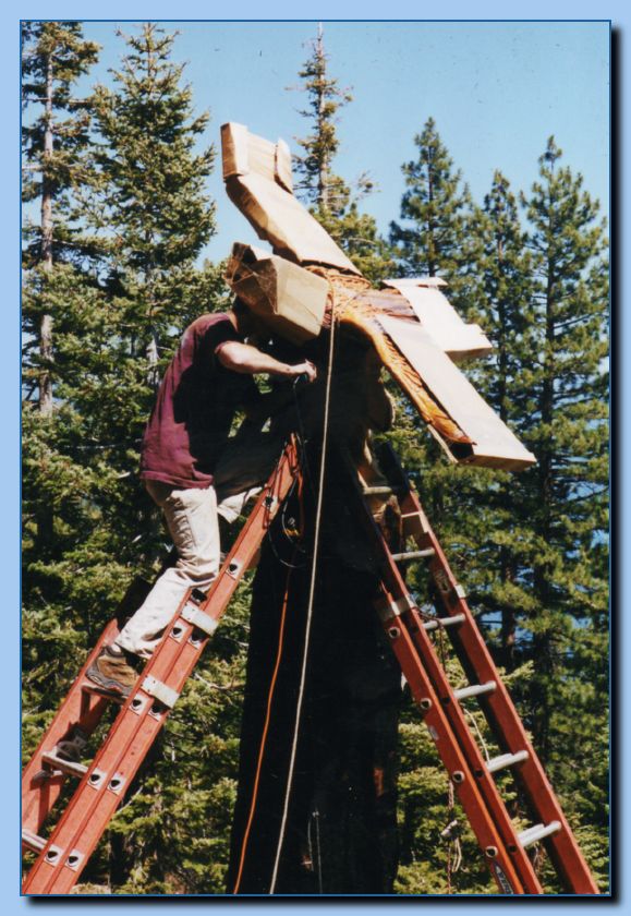2-03 eagle with wings out, attached -archive-0014